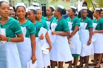 Shehu Sule College Basic Midwifery Programme 2024/2025